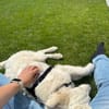 In 81675 auf Pflegestelle: NAILA