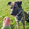 GARDI-BUDDY - zurück ins Leben