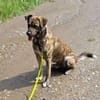 GARDI-BUDDY - zurück ins Leben