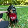 Liebevoller Jack sucht Dich
