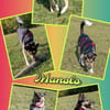 Manolo- auf PS in München!