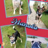Manolo- auf PS in München!