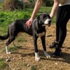 Menschenfreund Courage sucht sein Glück