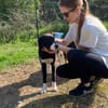 Menschenfreund Courage sucht sein Glück