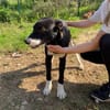 Menschenfreund Courage sucht sein Glück