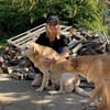 Liebe Labrador-Mix-Dame Nelli