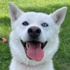 Daisy Snow - Schneekönigin sucht Familie