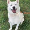 Daisy Snow - Schneekönigin sucht Familie
