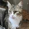 FANNY - liebt kuscheln und schmusen!