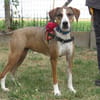 TANIA