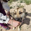 MARTINA (Patitas)