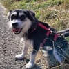 Sanfte Sunny sucht ihr Glück