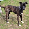 Sox wartet so lange auf seine 2. Chance