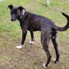Sox wartet so lange auf seine 2. Chance