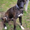 Sox wartet so lange auf seine 2. Chance