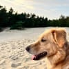 Jule sucht neues Zuhause