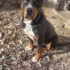 Tobi einfach nur lieb