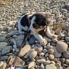 kleine Leni sucht ihre Menschen 🥰