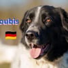 Boubis Notfall -  Wachsamer Begleiter