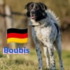 Boubis Notfall -  Wachsamer Begleiter