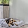 Lieber LORCC sucht liebes Zuhause