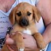 Alberto sucht seine Familie