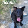 Die Youngsters sind los - Bonnie!