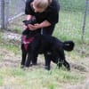 Die Youngsters sind los - Rufus