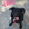 Die Youngsters sind los - Ellie!