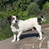 Bili sucht ihre Familie