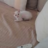 Lily Rose, la douce peluche
