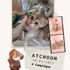 Atchoum