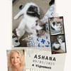 Ashana