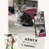 Arwen