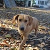 Cooper ist ein Schatz