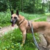 NOTFALL🙏🆘 RUBY sucht  ‼🆘