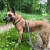 NOTFALL🙏🆘 RUBY sucht  ‼🆘