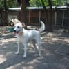 Lucy`s Besitzer sind leider verstorben