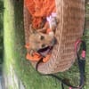 Lia ist in Deutschland