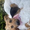 Lia ist in Deutschland