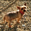 Trixie su. Gnadenbrotplatz