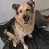Sanfte Alicia sucht ihre Familie