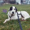 Jiji sanft, ruhig und liebevoll 7/23 DE
