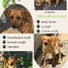 💕Kiwi💕sucht ihre Menschen💕