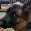 NALA     CNNE
