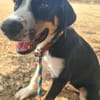 CARLOS (Maria)