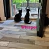 WHISPER