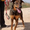 LUPO (Maria)