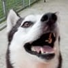 MAEKO