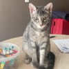 KIRA